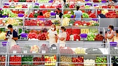 صورة من الارشيف