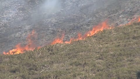 Wildfires in Spain