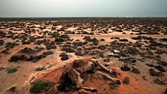 صورة من الارشيف، جبل نافق في الصحراء خارج قرية بن قردان في جنوب شرق تونس بالقرب من الحدود مع ليبيا، 12 آذار 2011.