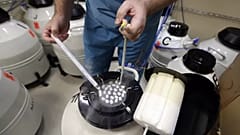 Spermlerin tutulduğu soğutucu tanklar