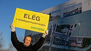 A Fertő-tó védelmében kampányol a Greenpeace aktivistái között Udvaros Dorottya színművész 