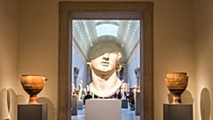 The New York Metropolitan Museum of Art