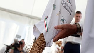 Búzaösszeöntő ünnep Hajdúnánáson, 2022-ben.
