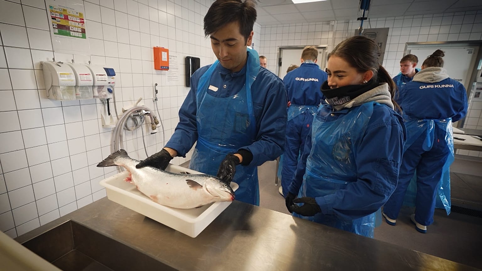 Cómo empresas vinculan el mundo académico y la industria en los sectores de la 'economía azul'