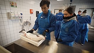 Cómo empresas vinculan el mundo académico y la industria en los sectores de la 'economía azul'
