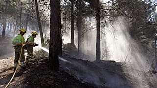 Des pompiers éteignent des feux de forêt en Espagne.