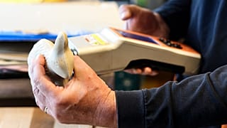 Der Schoko-Osterhase im Drogencheck