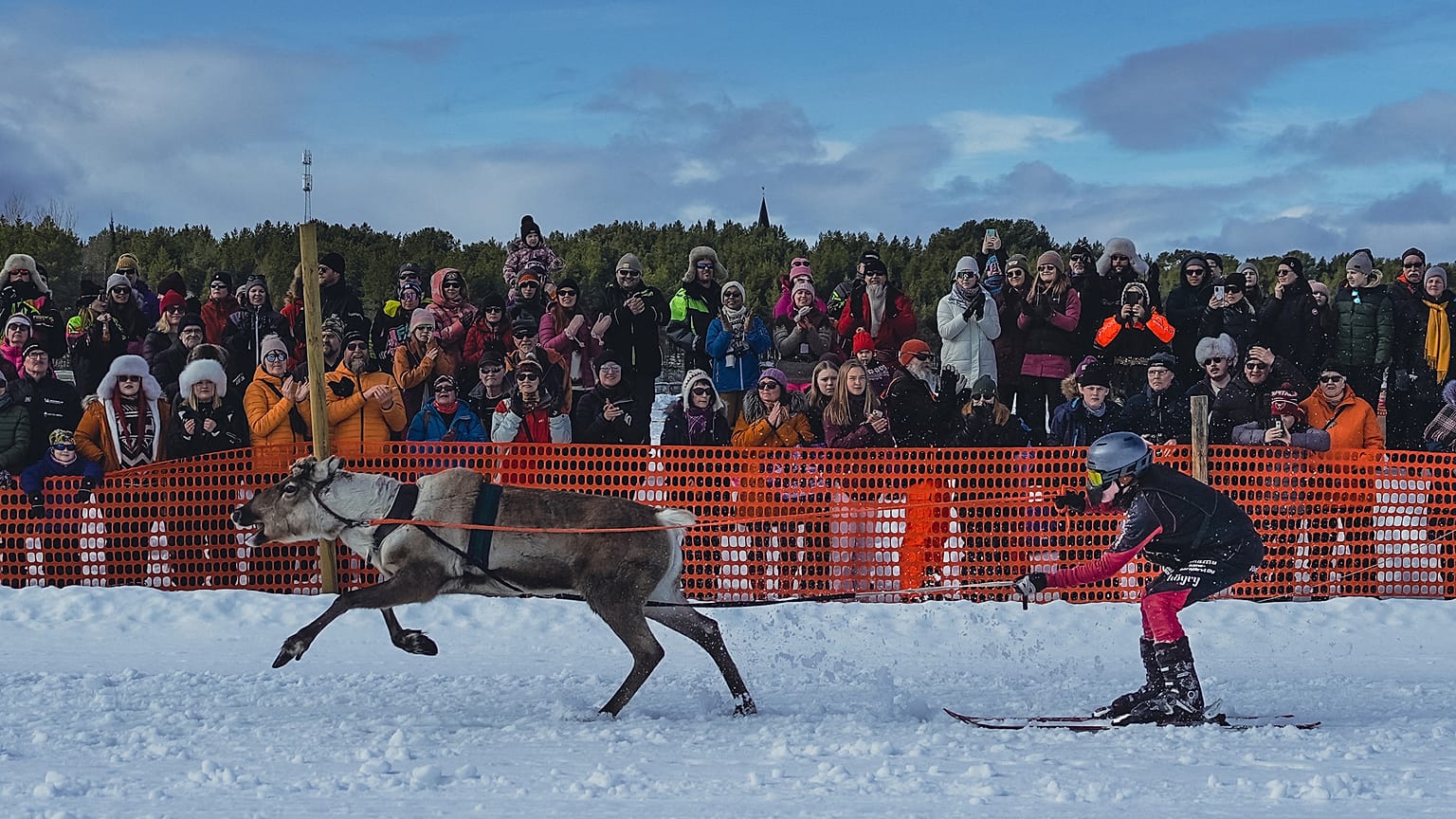 Course de Rennes en Finlande