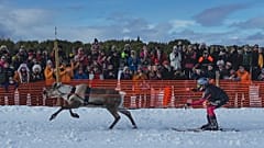 Course de Rennes en Finlande