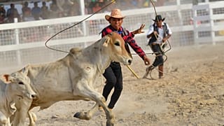 مهرجان رعاة الأبقار