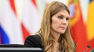 Бывший вице-спикер Европарламента Ева Кайли