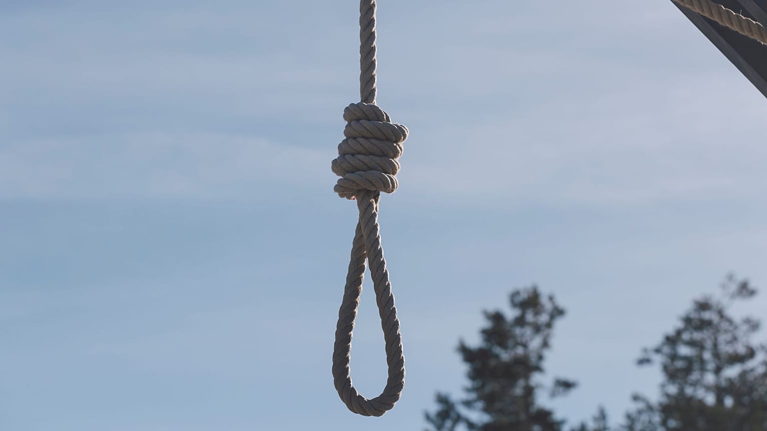 عکس تزئینی