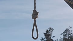 عکس تزئینی