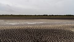 La tierra reseca en los humedales de la Reserva Natural de Doñana en octubre del año pasado