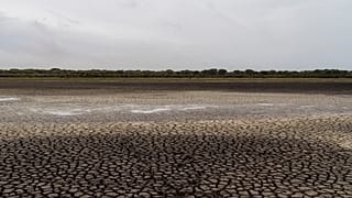Há dez anos que a seca afeta fortemente as lagoas e pântanos que fazem do Parque de Doñana 