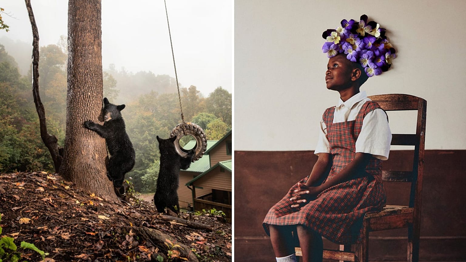 A Photo Gallery of the Sony World Photography Awards 2023 Winners