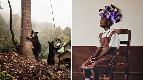 A Photo Gallery of the Sony World Photography Awards 2023 Winners