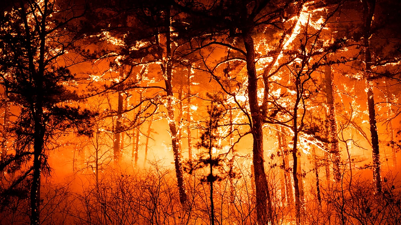 930 Hektar wurden von den Flammen erfasst.