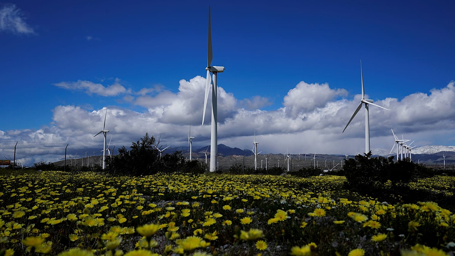Wind turbines stand in fields near Palm Springs, California