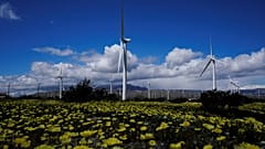 Wind turbines stand in fields near Palm Springs, California