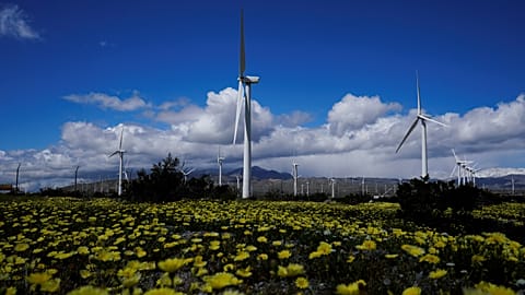 Wind turbines stand in fields near Palm Springs, California