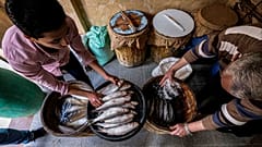 عرف المصريون القدامى الفسيخ منذ أكثر من أربعة آلاف عام