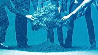Businesspeople planting a tree