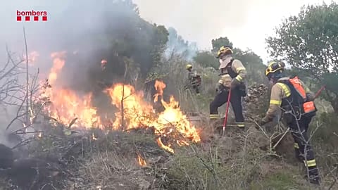 Feuerwehrleute bei der Arbeit
