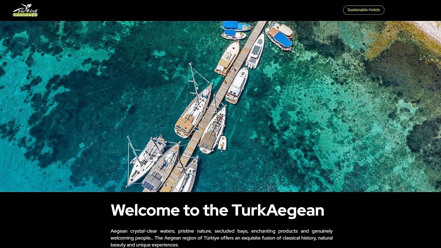 Yunanistan, Türkiye'nin "Turkaegean" ticari markasının patentini engellemeye çalışıyor