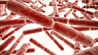 Infecciones resistentes a los antibióticos