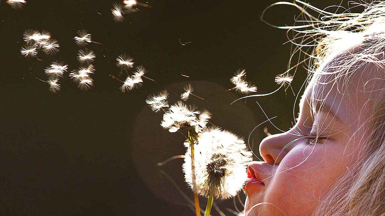 Ein Mädchen in Frankfurt spielt mit einer Pusteblume. Länder in Europa unterstützen Familien auf unterschiedliche Weise: Wie viel monatliches Kindergeld gibt es wo?