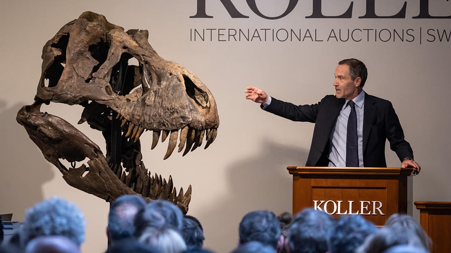 Üç farklı dinozor kemiğinden oluşan iskelet İsviçre'de açık arttırmada 5,5 milyon İsviçre Frangına satıldı 