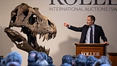 Üç farklı dinozor kemiğinden oluşan iskelet İsviçre'de açık arttırmada 5,5 milyon İsviçre Frangına satıldı 
