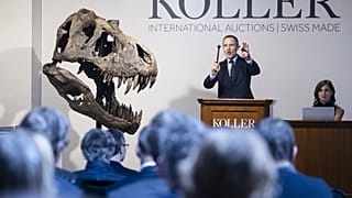 Глава аукционного дома Koller Сирил Коллер рядом с черепом тираннозавра рекса Тринити