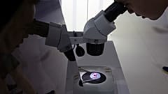 Los semiconductores o microchips, fundamentales para el funcionamiento de cualquier aparato electrónico