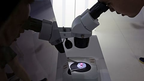 A visitor to the 21st China Beijing International High-tech Expo looks at a computer chip through the microscope.