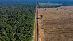 La carretera BR-163 se extiende entre el Bosque Nacional de Tapajos, izquierda, y un campo de soja en Belterra, estado de Pará, Brasil, el 25 de noviembre de 2019.