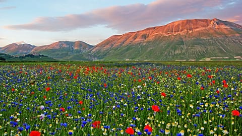 Catch the Fiorita in Italy's Sibillini Mountains.