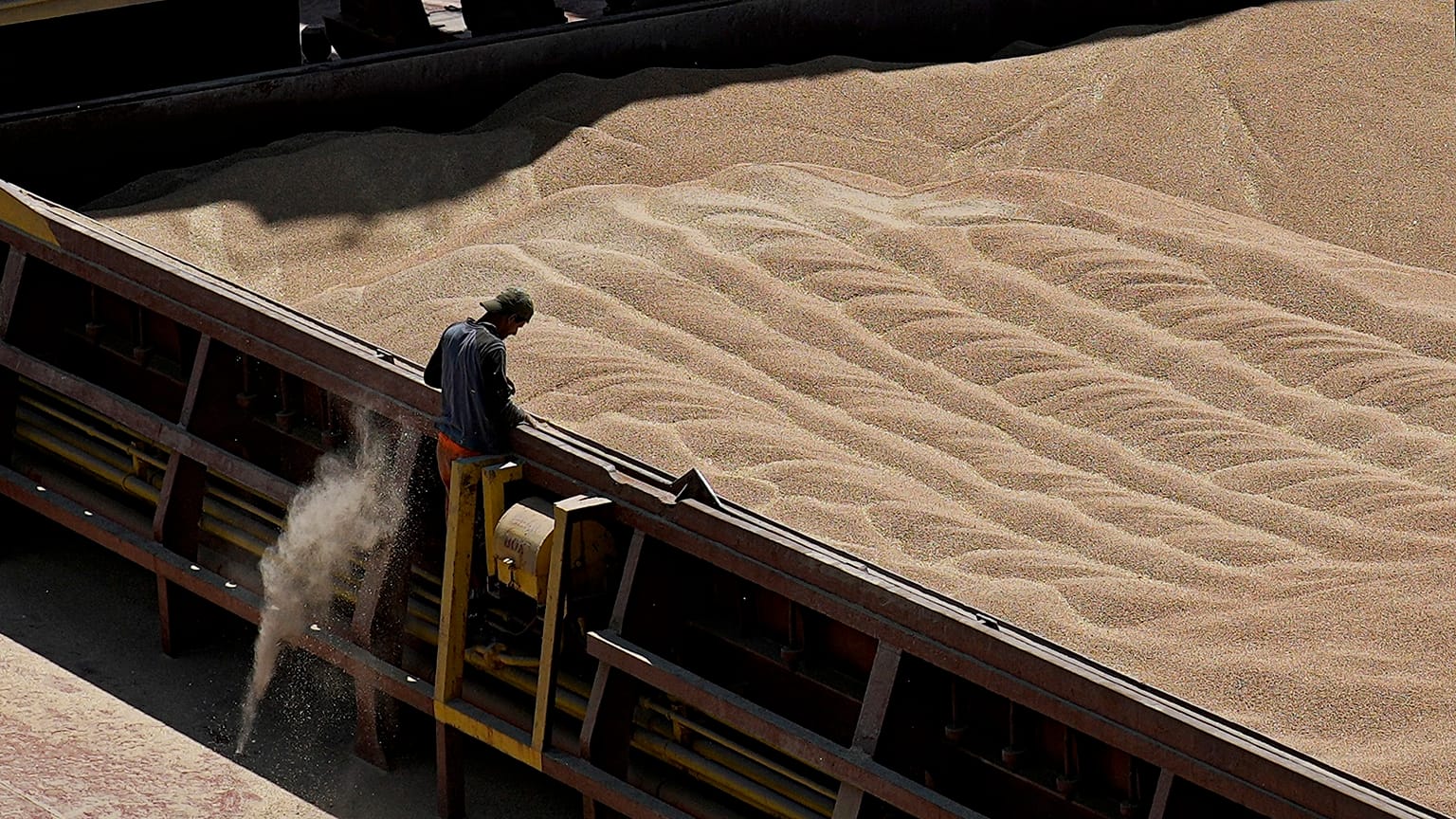 Ukraine is a global leader in the export of maize, wheat, sunflower, barley and other foodstuffs.