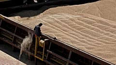 Ukraine is a global leader in the export of maize, wheat, sunflower, barley and other foodstuffs.