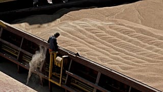 Ukraine is a global leader in the export of maize, wheat, sunflower, barley and other foodstuffs.