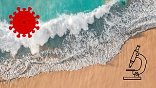 شناسایی گروه جدیدی از ویروس‌ها در دریا و اقیانوس