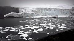 Consequências das alterações climáticas