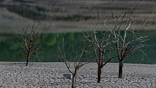 Аномальная жара, повышение уровня моря и таяние льдов: эксперты ООН обнародовали новые данные по изменению климата.