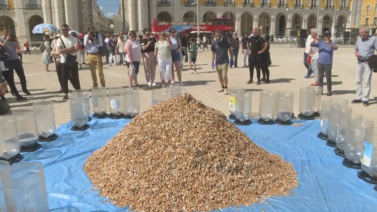 Ein Berg von Zigarettenstummeln in Lissabon am 23.4.2023