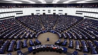 Ευρωπαϊκό Κοινοβούλιο