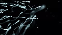 Araştırmacılar sperm hasarına ilişkin en büyük risk faktörlerini tespit etti