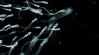 Araştırmacılar sperm hasarına ilişkin en büyük risk faktörlerini tespit etti