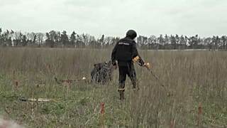 Según los expertos, Ucrania es el territorio minado más grande del mundo, superando a países como Afganistán o Siria.