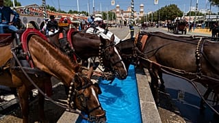 Près de 40°C en avril : l'Espagne face à des températures records, le 27 avril 2023.